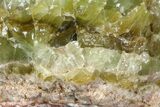 Free-Standing Green Calcite - Chihuahua, Mexico #155802-1